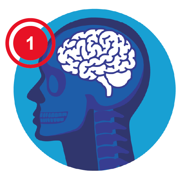 Brain and neurology